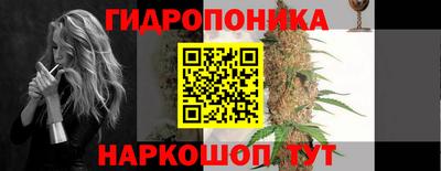 сатива Малгобек