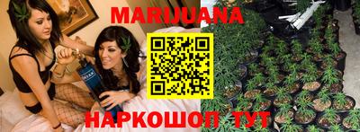 сатива Малгобек