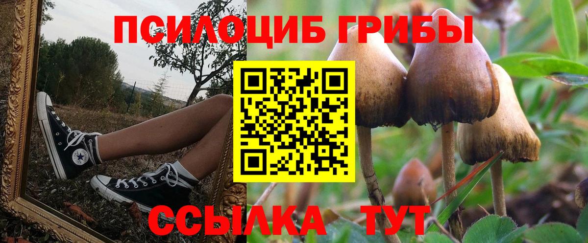 Киреевск  Псилоцибиновые грибы Cubensis  Вход с VPN 