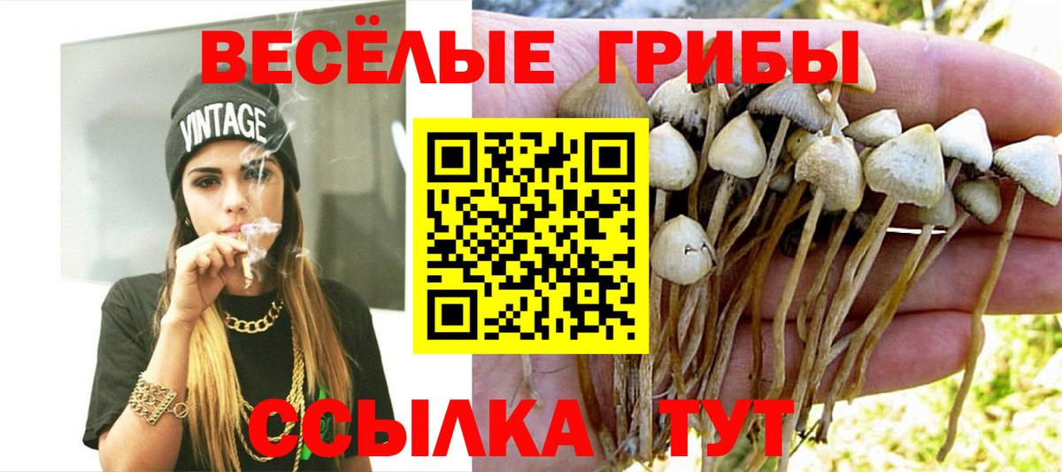 Галлюциногенные грибы Magic Shrooms Киреевск